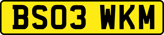 BS03WKM