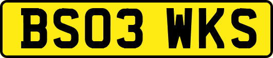 BS03WKS