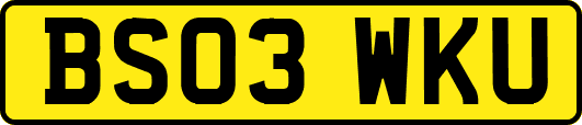 BS03WKU