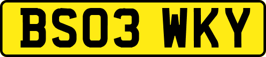 BS03WKY