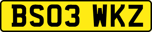 BS03WKZ