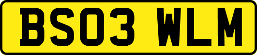 BS03WLM