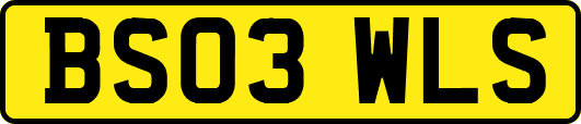 BS03WLS