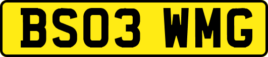 BS03WMG