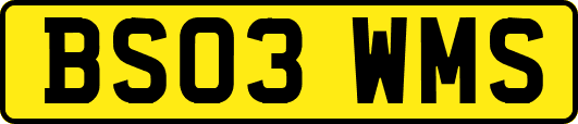 BS03WMS
