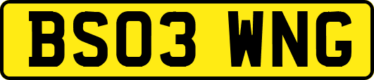 BS03WNG