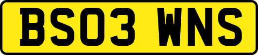 BS03WNS