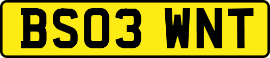 BS03WNT