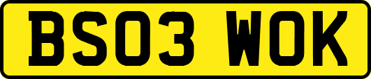 BS03WOK