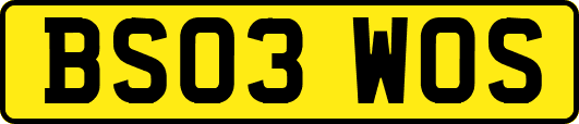 BS03WOS