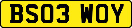 BS03WOY