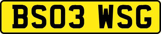 BS03WSG