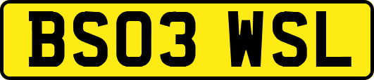 BS03WSL