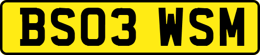 BS03WSM