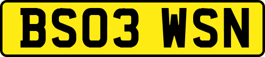 BS03WSN