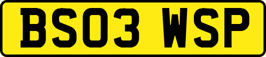 BS03WSP