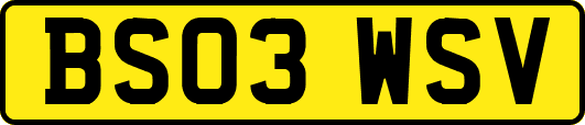 BS03WSV