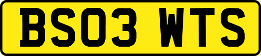BS03WTS