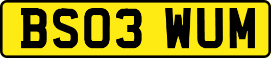 BS03WUM