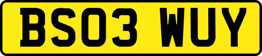 BS03WUY