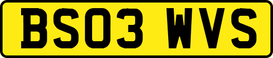 BS03WVS