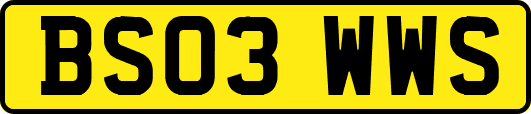 BS03WWS