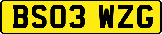 BS03WZG