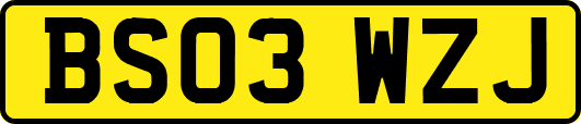 BS03WZJ