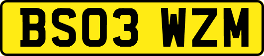 BS03WZM