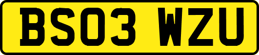 BS03WZU