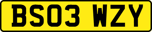BS03WZY