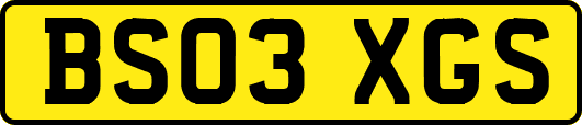 BS03XGS