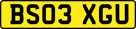 BS03XGU