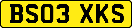 BS03XKS