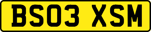 BS03XSM