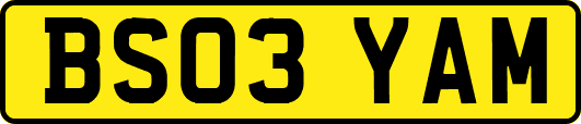 BS03YAM