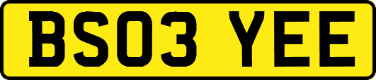 BS03YEE