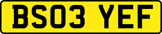 BS03YEF