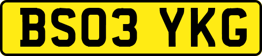 BS03YKG