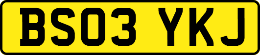 BS03YKJ