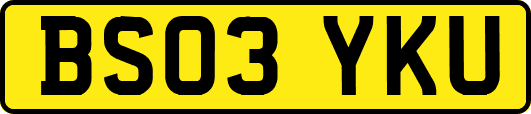 BS03YKU