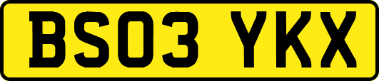 BS03YKX