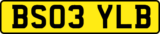 BS03YLB