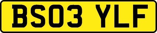 BS03YLF