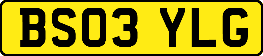 BS03YLG