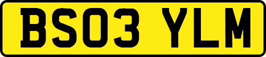 BS03YLM