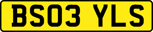 BS03YLS