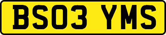 BS03YMS
