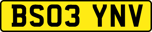 BS03YNV