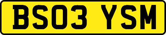 BS03YSM